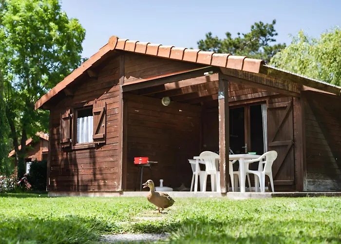 Bois 7 Domaine Les Epinettes Kamp alanı