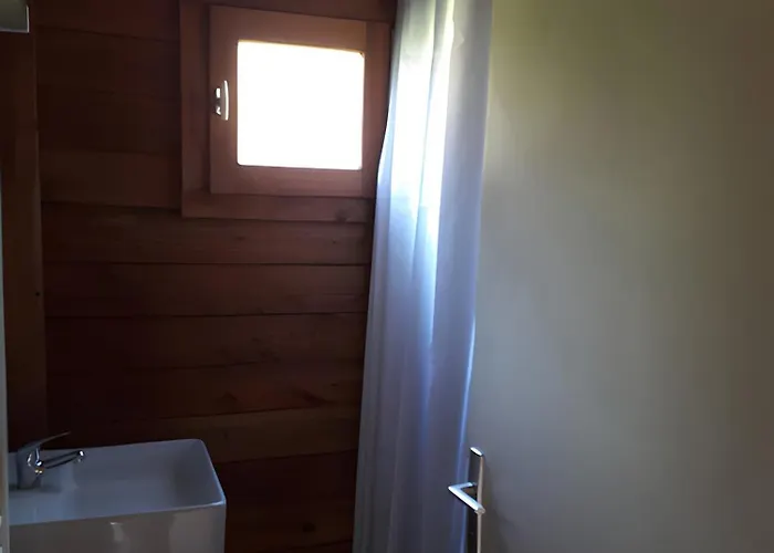 Kamp alanı Bois 7 Domaine Les Epinettes Saint-Gervais (Vendee)