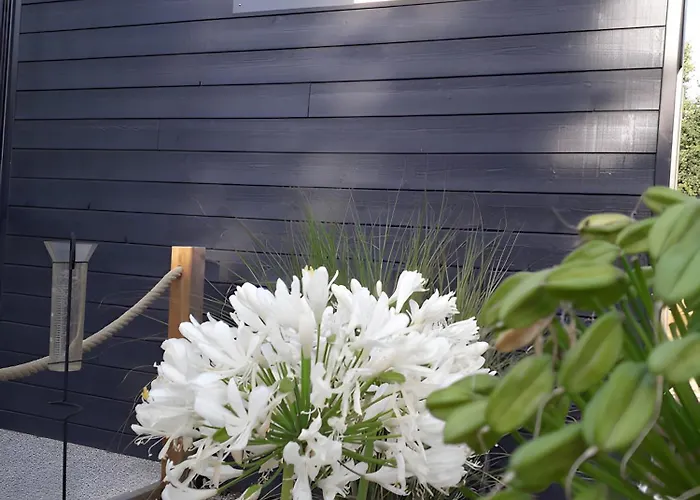 Bois 7 Domaine Les Epinettes