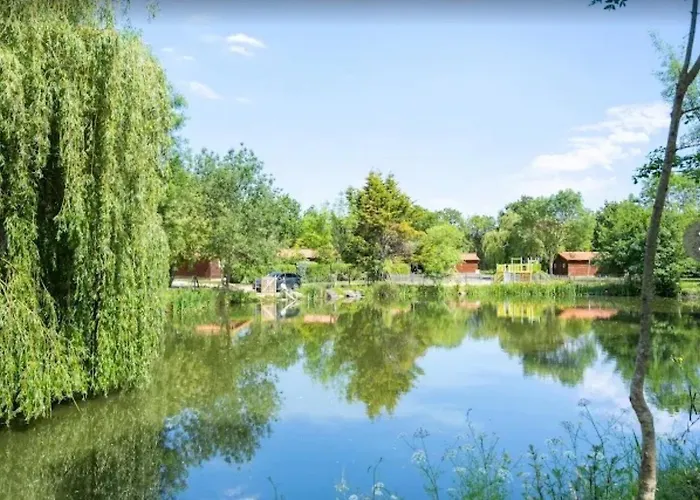 Bois 7 Domaine Les Epinettes Kamp alanı Saint-Gervais (Vendee)